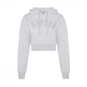 Trapstar Irongate Stud Cropped Hoodie Hættetrøje Dame Grå Danmark | ZF90-410