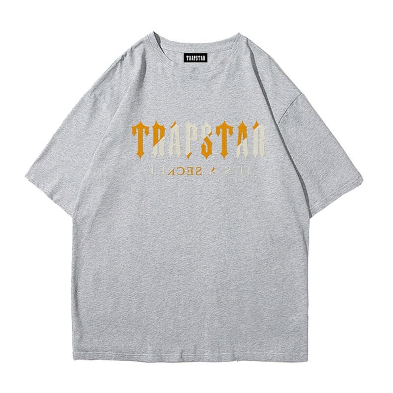 Trapstar Shinning Galaxy its a Secret T Shirts Herre Grå Danmark | RK87-035